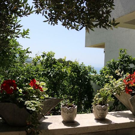 Beautifull Sea View Apartment Baška Voda Zewnętrze zdjęcie